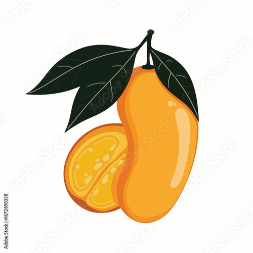 Sweet Marang Fruit Vector Illustration with Leaves"