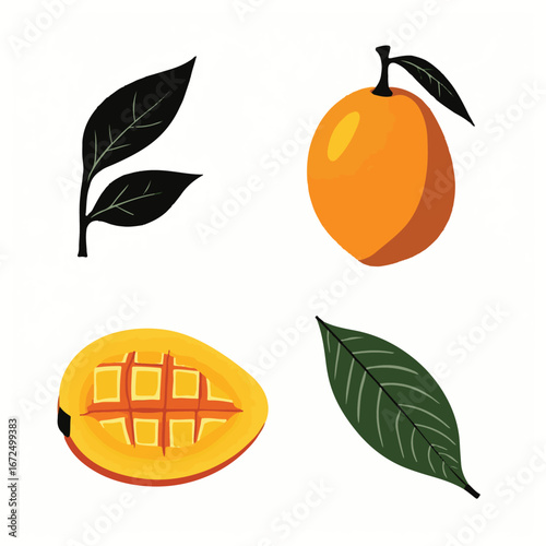 Sweet Marang Fruit Vector Illustration with Leaves"
