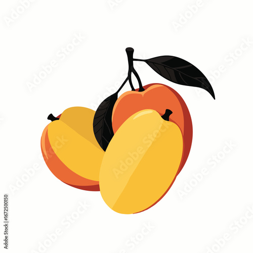 Sweet Marang Fruit Vector Illustration with Leaves"