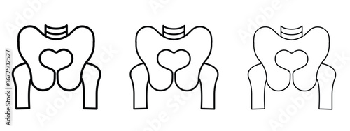 Pelvis icon in outline stroke style symbol.