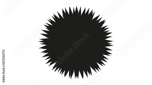 Black Sun Silhouette: A bold silhouette of a stylized sun, radiating sharp, dynamic rays, conveying energy and a sense of striking impact. 