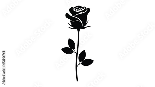 Monochrome Rose: A striking silhouette of a solitary rose, rendered in stark monochrome, evoking a sense of elegant simplicity and timeless beauty.