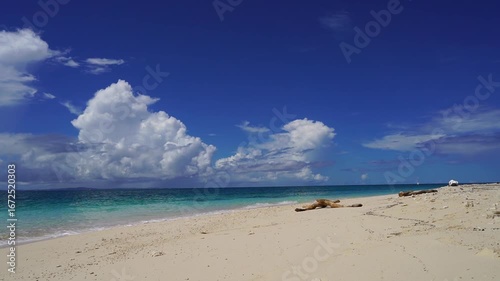 沖縄の美しいビーチ