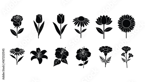Floral Silhouette Symphony: An array of meticulously crafted black and white silhouettes of diverse flowers, each a testament to nature's delicate artistry.