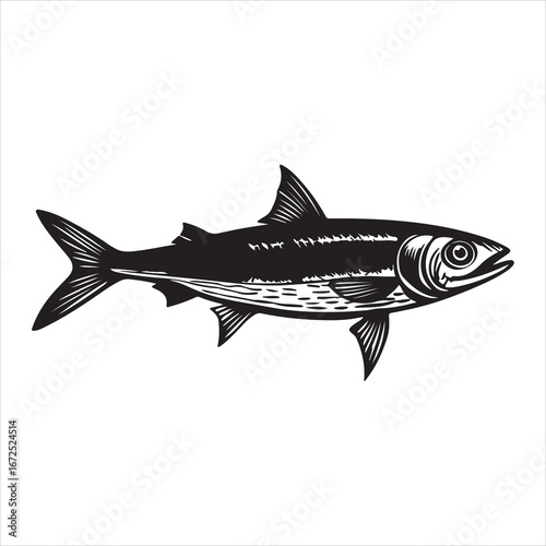 A Fresh Close-up of Anchovies, Tiny and Slender Saltwater Fish with a Sleek, Silver Body, Known for being a Flavorful and Nutritious Ingredient