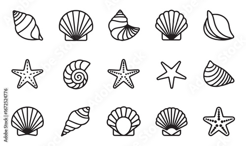 Various seashell and starfish icons in line art, ideal for marine life, oceanography, and beach designs.