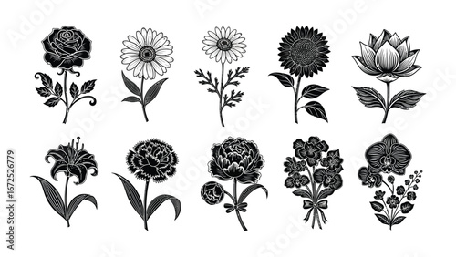 Floral Flourish in Monochrome: A stylized arrangement of exquisite floral illustrations, meticulously rendered in shades of black, offers a touch of elegance and charm. A collection of diverse blooms.