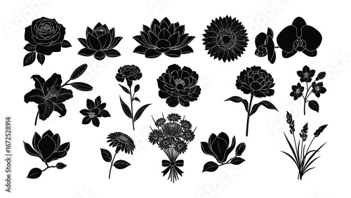 Floral Symphony: A Collection of botanical illustrations depicting various flower silhouettes, ideal for designs symbolizing elegance and nature's charm.