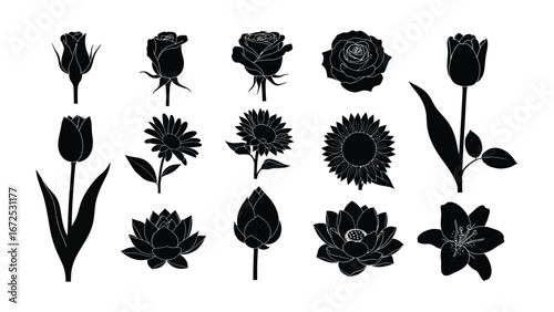 Floral Silhouettes Collection: A set of exquisite black silhouettes of various flowers, showcasing the intricate details of their forms. Perfect for artistic and design projects.