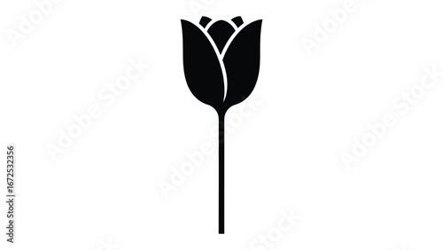 Elegant Tulip Silhouette: A minimalistic, artistic black tulip in full bloom, its delicate petals captured against a stark canvas. 
