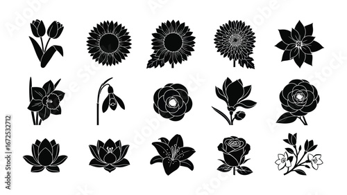 Floral Silhouette Symphony: A captivating assortment of diverse floral silhouettes, masterfully designed and arranged, ready to bring an artistic touch to any project.