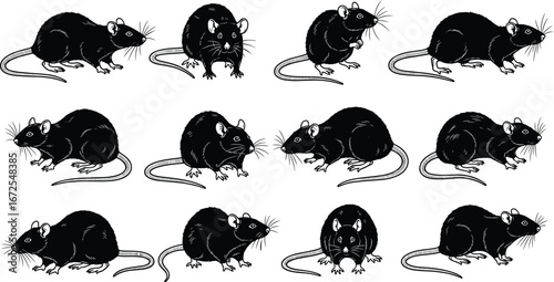 Cartoon Black Rat Silhouette Set in Grid Layout Featuring Whiskers, Tails, Sitting and Standing Poses for Pattern Recognition Use