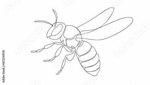 continuous one line art jpg drawing of flaying bee simple