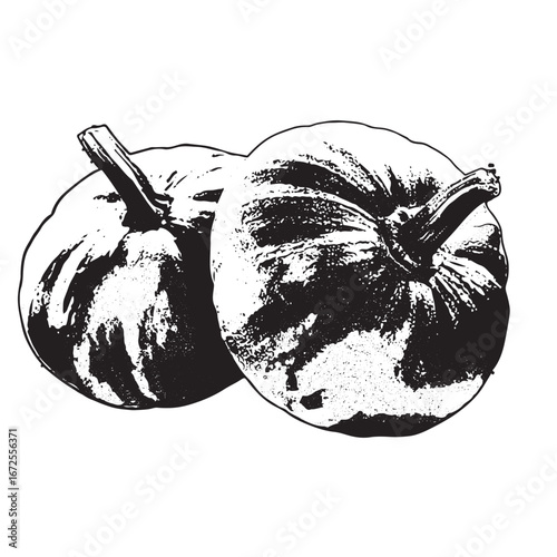 Harvest season design element featuring two pumpkins with a vintage feel for posters and invitations