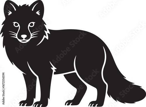 black and white wolf