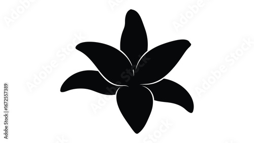 Monochromatic Flower: Elegant and minimalist illustration of a blossoming flower, its petals and form defined by clean lines and striking monochrome contrast, creating a timeless design.