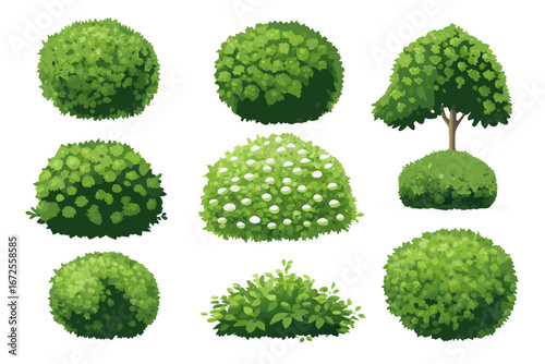 Cartoon shrub bush set. Garden green decoration bushes, illustrated hedge shrubs plants isolated on white background