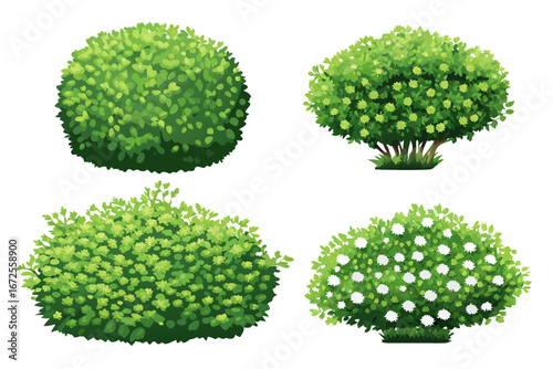 Cartoon shrub bush set. Garden green decoration bushes, illustrated hedge shrubs plants isolated on white background