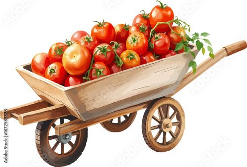 Wheelbarrow full of tomatoes vector illustration.