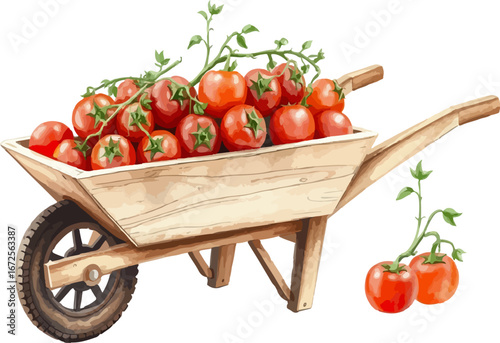 Wheelbarrow full of tomatoes vector illustration.