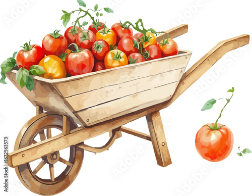 Wheelbarrow full of tomatoes vector illustration.