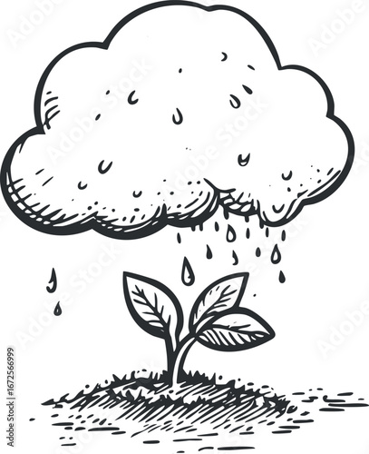 Black and white sketch of a rain cloud watering a young plant seedling growing in soil