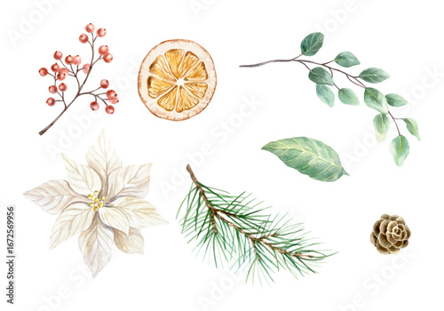 Christmas set of green fir branch, dried orange slice, white poinsettia flower, sprig of red berries, pine cone and eucalyptus. Hand drawn watercolor pastel illustration for New Year cards and banners