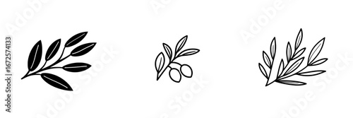 A simple yet elegant illustration, the Olive Branch Icon features an olive branch with two olives, representing peace, harmony, and abundance, making it suitable for various design projects