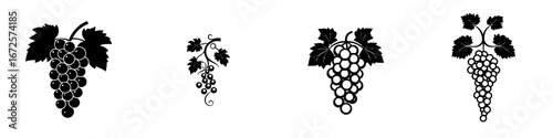 Vineyard Harvest represents abundance, growth, and the rewards of hard work through its simple yet elegant grapevine silhouette, ideal for wine labels and agricultural designs