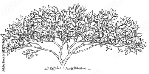 Tree Silhouette and Outline Illustration offers a simple yet powerful illustration of a tree, presented in both black and white outline, which is perfect for incorporating into nature-themed designs