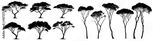 A modern set featuring silhouettes of different deciduous trees on a white PNG background is available