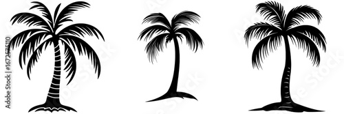 The Palm Tree Icon features a black and white illustration of a classic palm tree silhouette, creating a simple yet elegant design that evokes a tropical, summery atmosphere