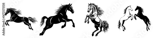 A powerful silhouette of a black horse, dynamically captured in mid-stride, exudes strength, grace, and untamed freedom, embodying the essence of a majestic stallion in motion