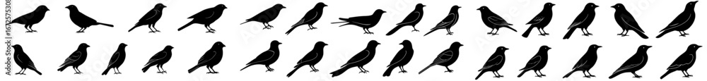 Fototapeta premium A collection of black bird silhouettes serves as modern elements for design and illustration, including signs and symbols of nature