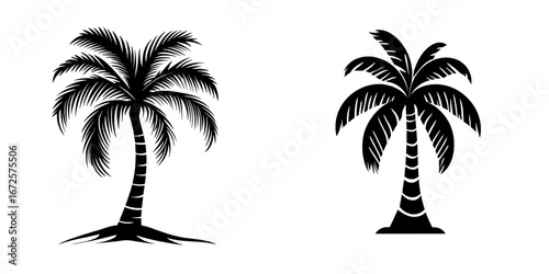 A majestic palm tree, with its fronds stretching upwards, embodies the tranquil and beautiful essence of a tropical paradise