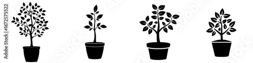The Plant Growth Icon is a simple, elegant, and versatile symbol that represents a plant's growth and development in a pot, ideal for concepts of progress, sustainability, and nature