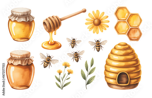 Botanical watercolor honeybee set with beehive, honeycomb, and hand painted jar.