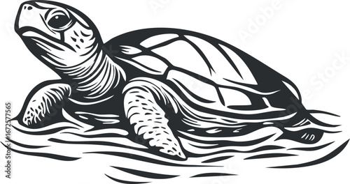 Black and white vector illustration of a turtle swimming in water with detailed shell and limbs