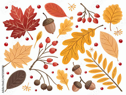 September Autumn Leaves and Acorns, Top View on Minimal Background