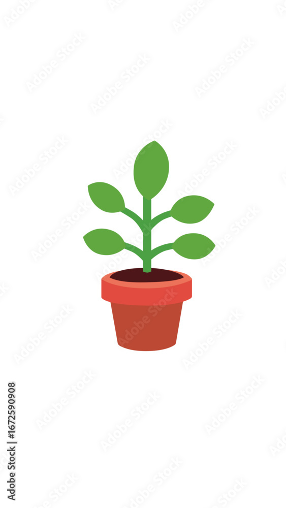 Planta Crescento