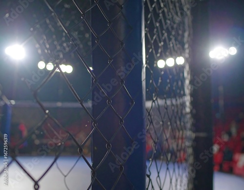 Inside a cage match arena.  Blurred view from behind a metal fence