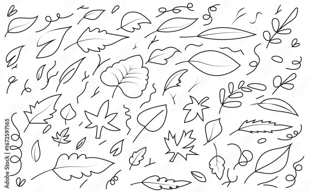 Fototapeta premium Assorted leaves and swirls line drawing