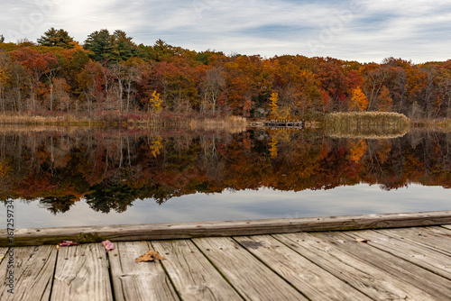 Autumn forest reflection on lake with rustic dock
