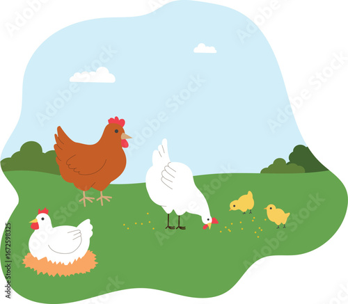 Chickens and Chicks Grazing in a Green Field