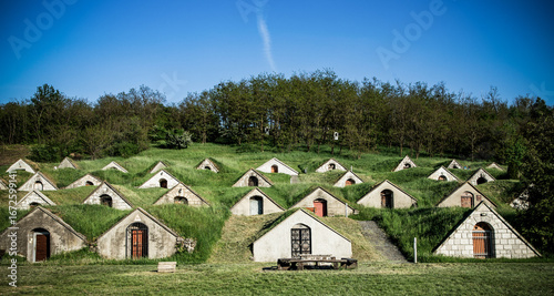 Photos wine cellars in Tokaj region - Hercegkut Sarospatak Hungary