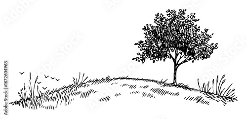 lonely tree on grassy hill with birds minimal nature scene