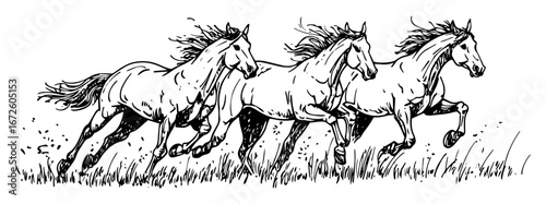 three galloping horses in grassy field dynamic line art