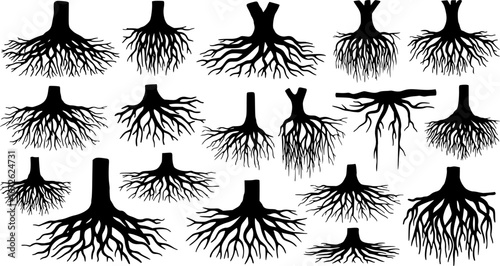 Vector Set of tree roots
