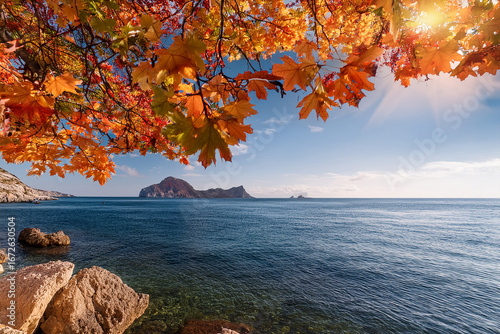 紅葉の隙間から見える海の景色