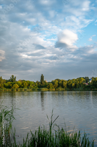 summer landscape with lake